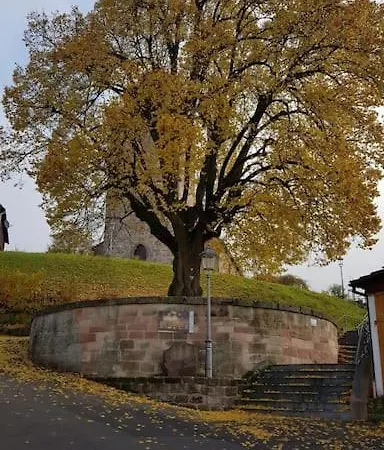 Zum Maerchenwald Apartment *