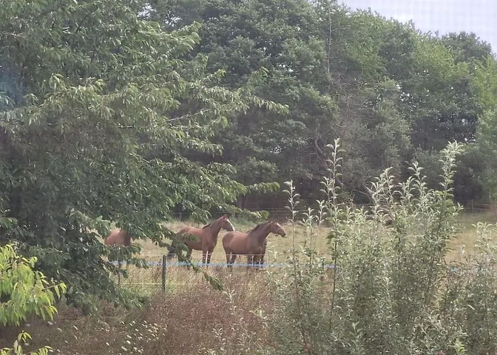 Zum Maerchenwald Lägenhet Lichtenau